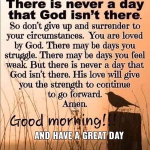 Meet your Posher, Carol